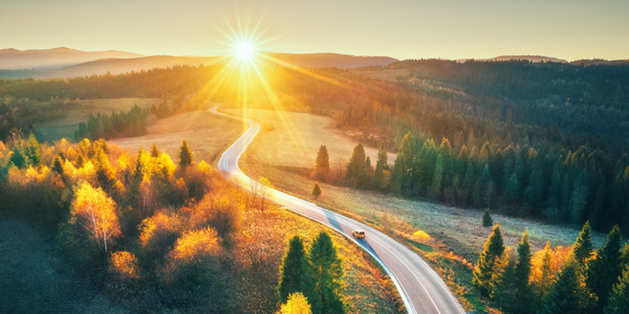 Road through a wooded country side at sunrise.